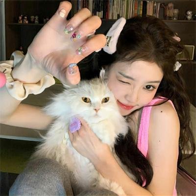 茶杯头大冒险第二季